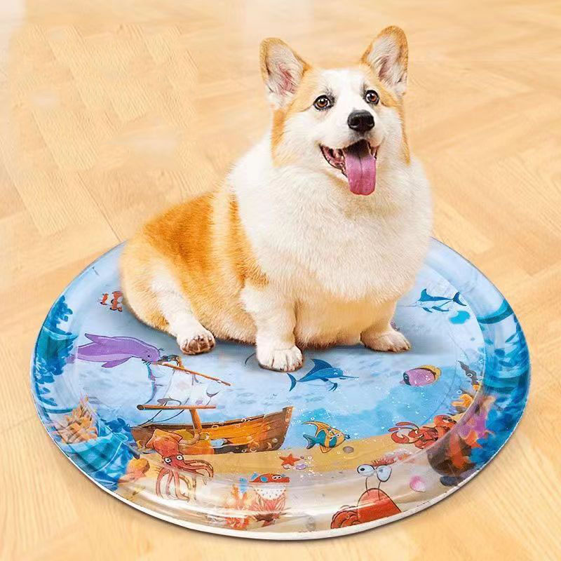 Водный Сенсорный игровой коври – обзор и цена Slip Slide Water Mat
